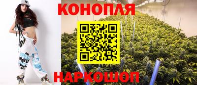 индика Ставрополь
