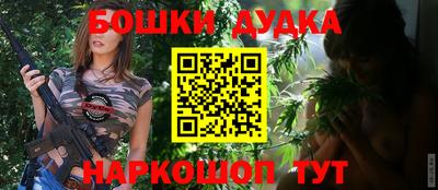 индика Ставрополь