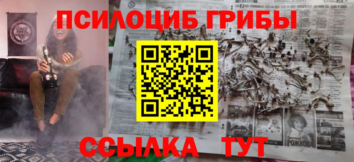 Псилоцибиновые грибы Magic Shrooms Курск